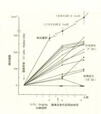 時間薬理学表